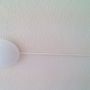 LED stropna